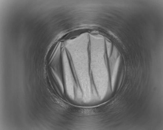 X0000052941362200507300007