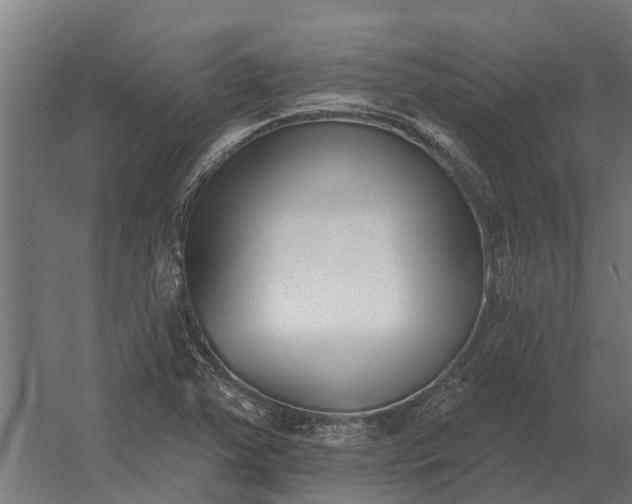 X0000052941363200507300007