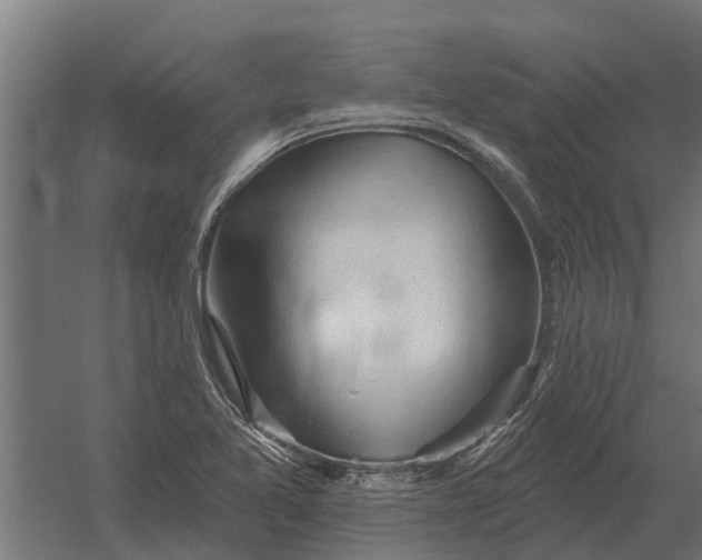 X0000052941365200507300007