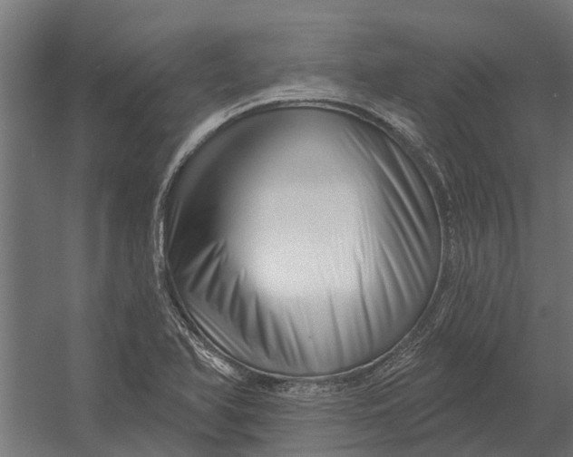 X0000052941366200507300007