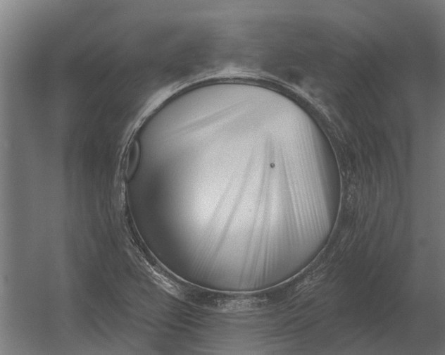 X0000052941367200507300007