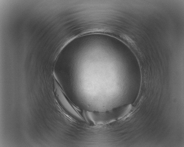 X0000052941369200507300007