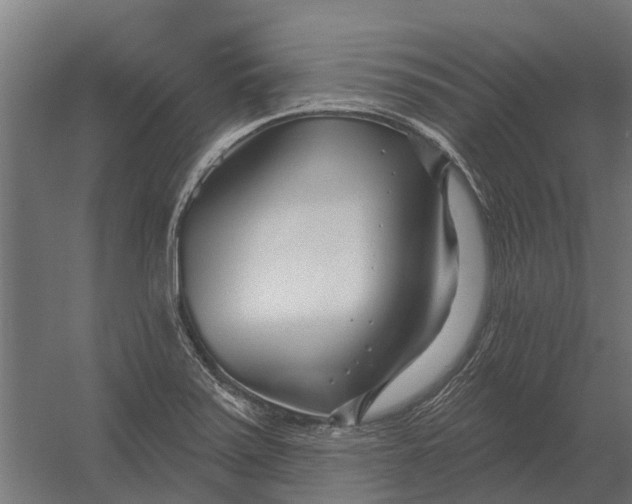 X0000052941371200507300007