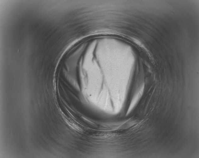 X0000052941372200507300007