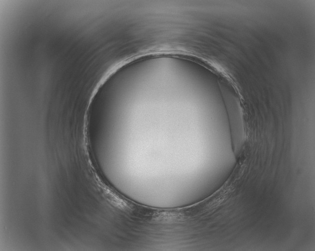 X0000052941374200507300007