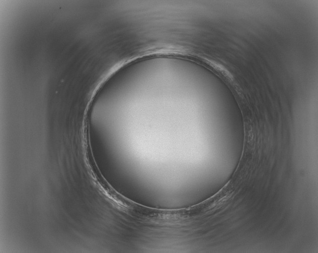 X0000052941375200507300007