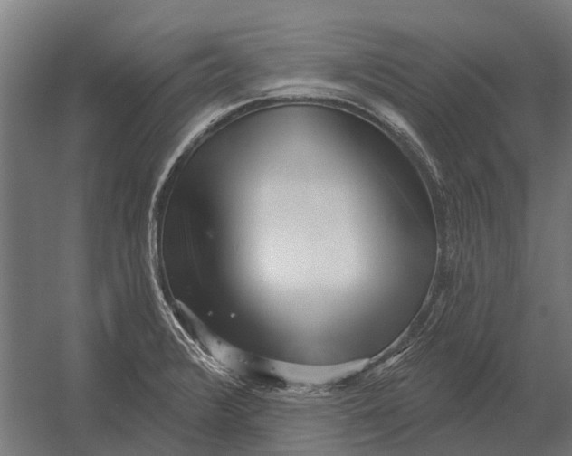 X0000052941376200507300007