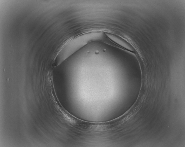 X0000052941377200507300007