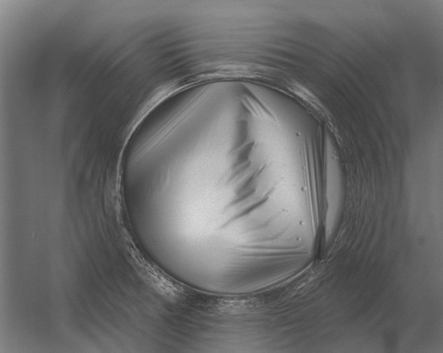 X0000052941378200507300007