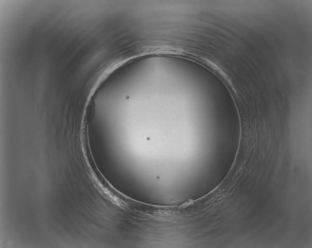 X0000052941379200507300007