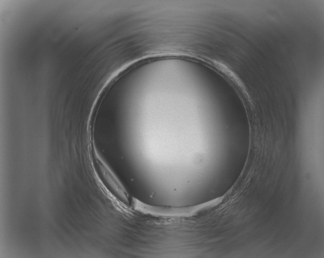 X0000052941380200507300007