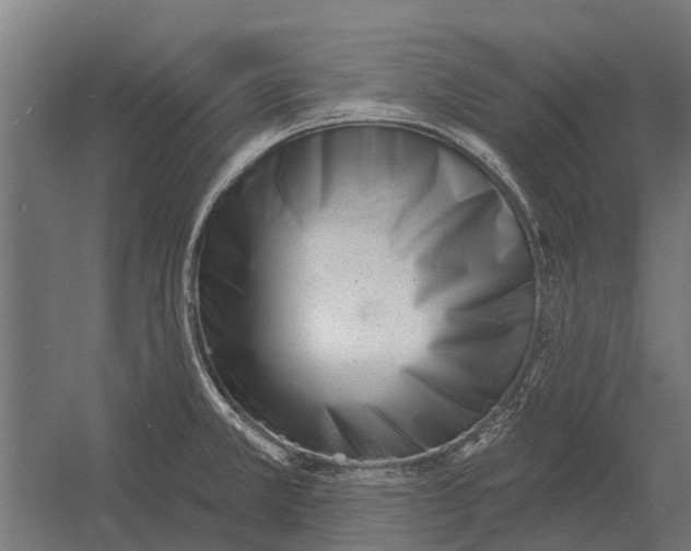 X0000052941381200507300007