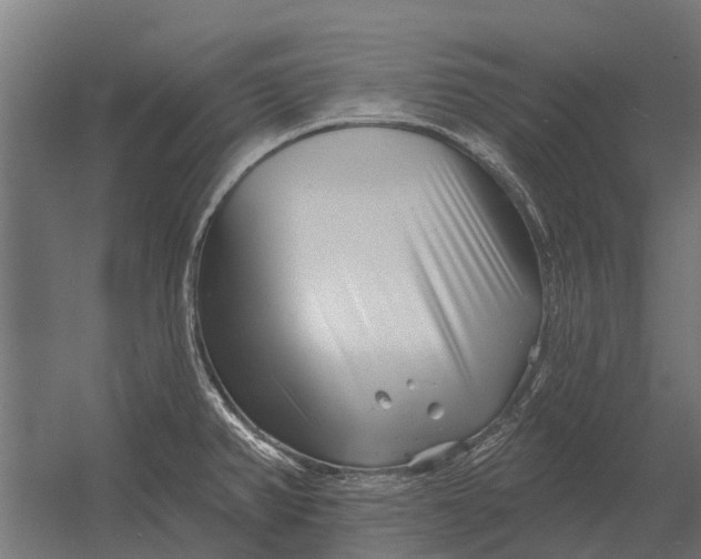 X0000052941382200507300007