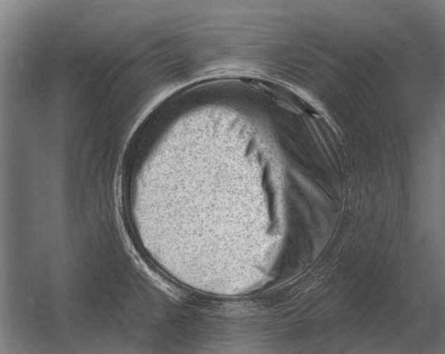 X0000052941383200507300007