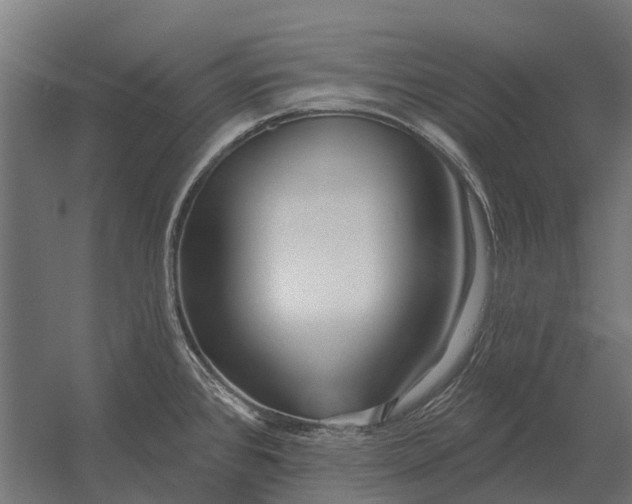 X0000052941384200507300007