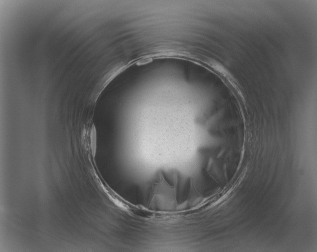 X0000052941385200507300007