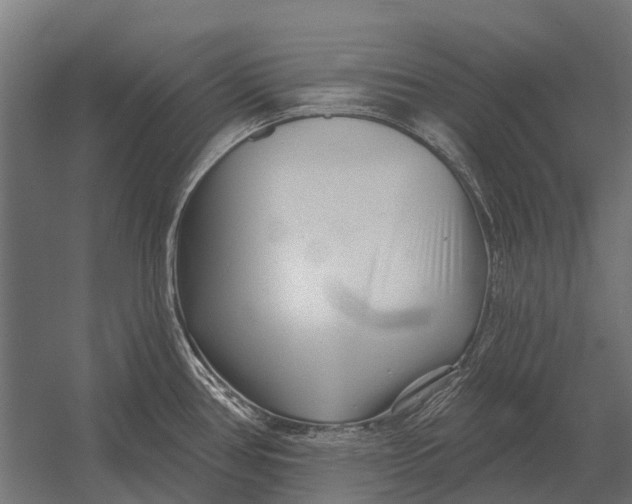 X0000052941386200507300007