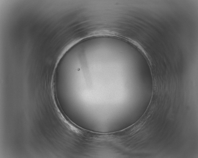 X0000052941387200507300007