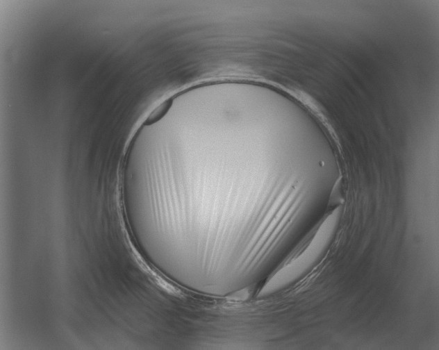 X0000052941390200507300007