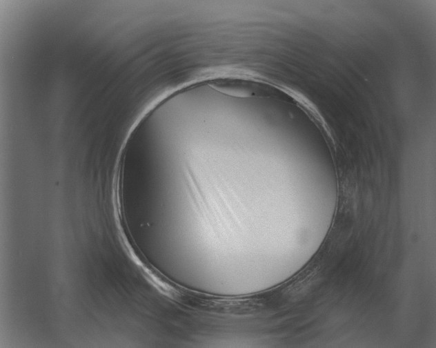 X0000052941391200507300007