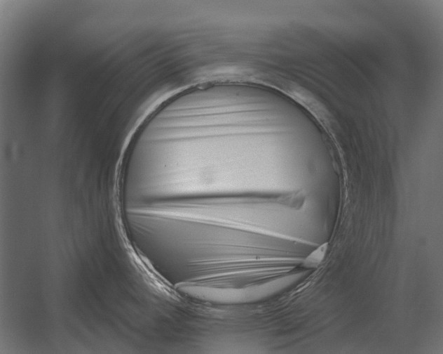 X0000052941392200507300007