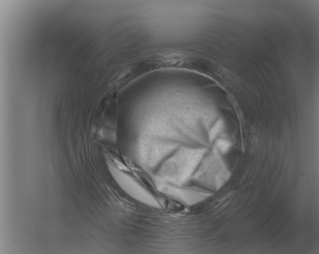 X0000052941394200507300006