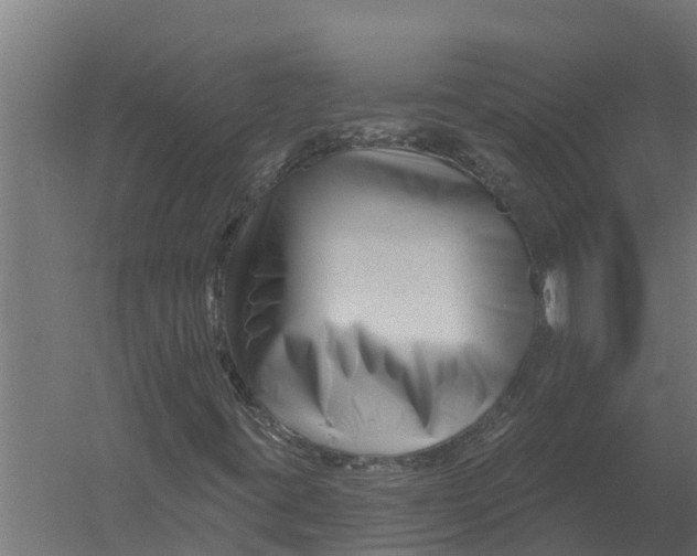 X0000052941395200507300006