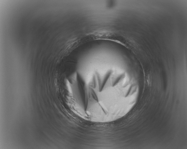 X0000052941396200507300006