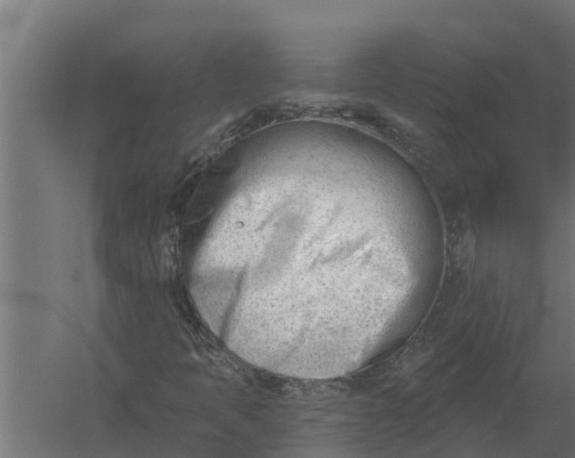 X0000052941397200507300006