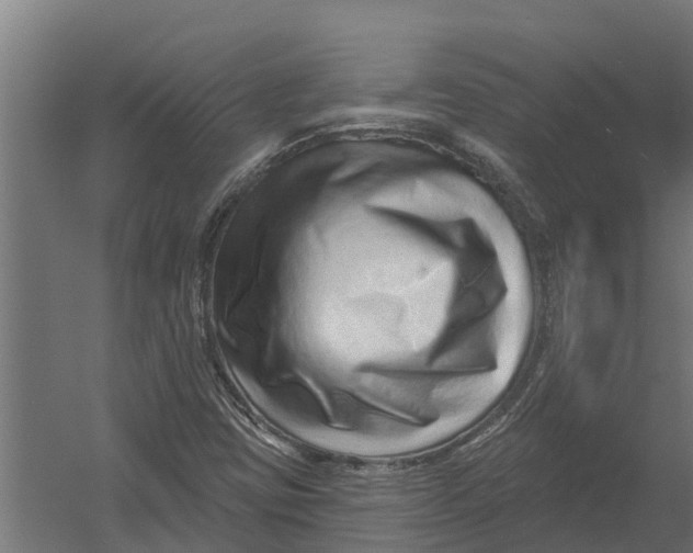 X0000052941403200507300006