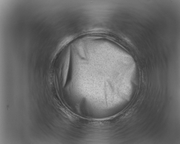 X0000052941405200507300006