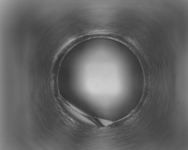 X0000052941406200507300006