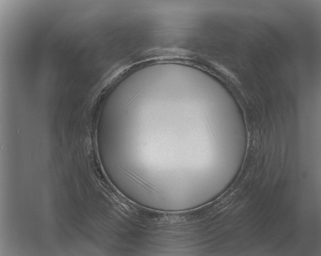 X0000052941407200507300006