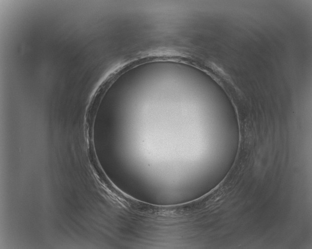 X0000052941408200507300006