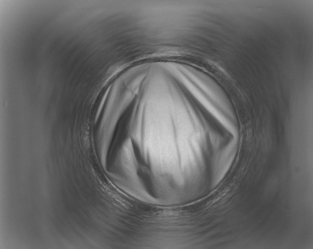 X0000052941409200507300006