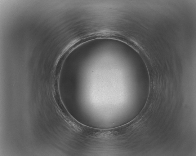 X0000052941410200507300006