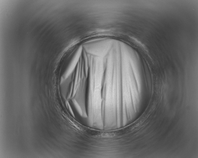 X0000052941411200507300006