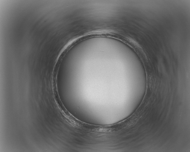 X0000052941412200507300006