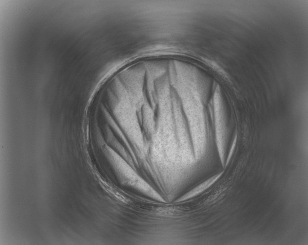 X0000052941413200507300006