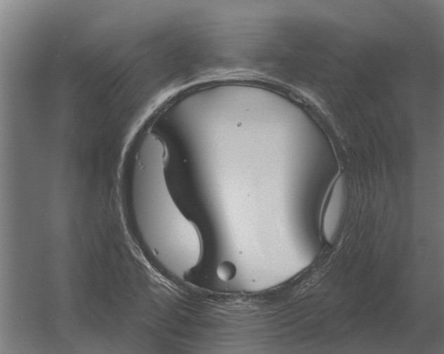 X0000052941414200507300006