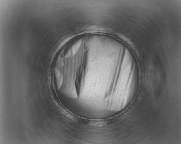 X0000052941415200507300006