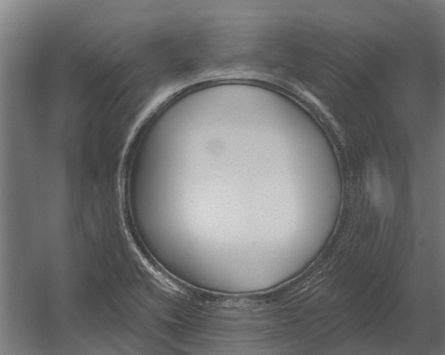 X0000052941416200507300006