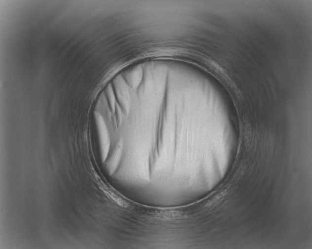 X0000052941417200507300006