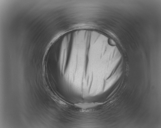 X0000052941419200507300006