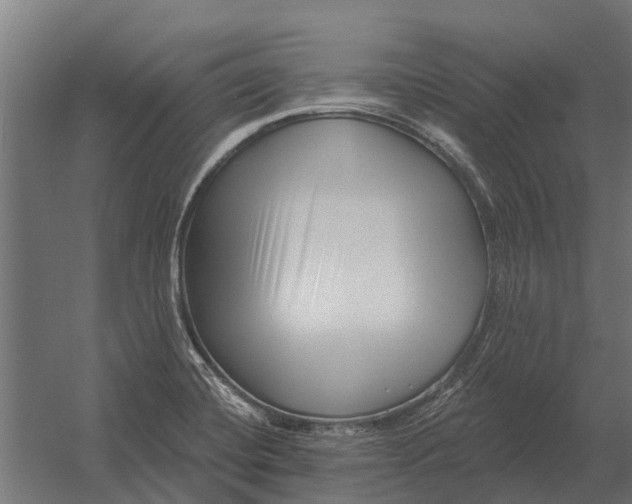 X0000052941420200507300006