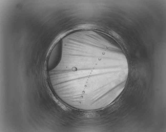 X0000052941421200507300006