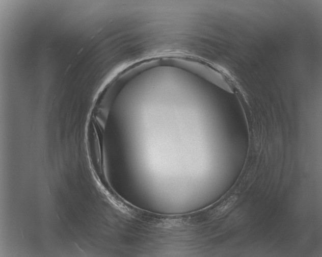 X0000052941422200507300006