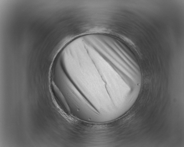 X0000052941423200507300006