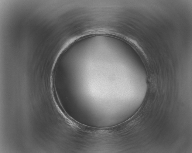 X0000052941424200507300006