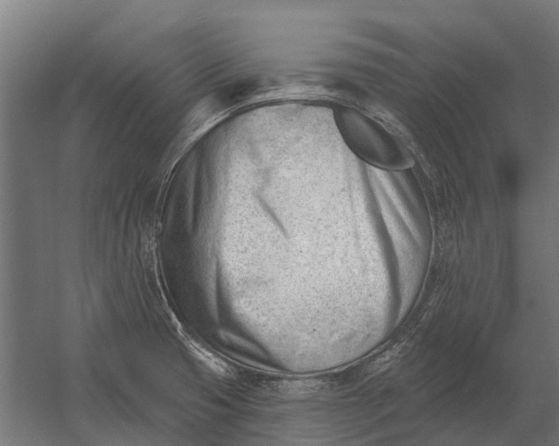 X0000052941425200507300006